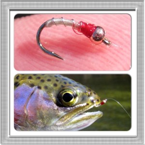 blue dun midge collage