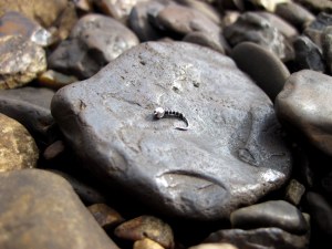 fishing nov15 037-001